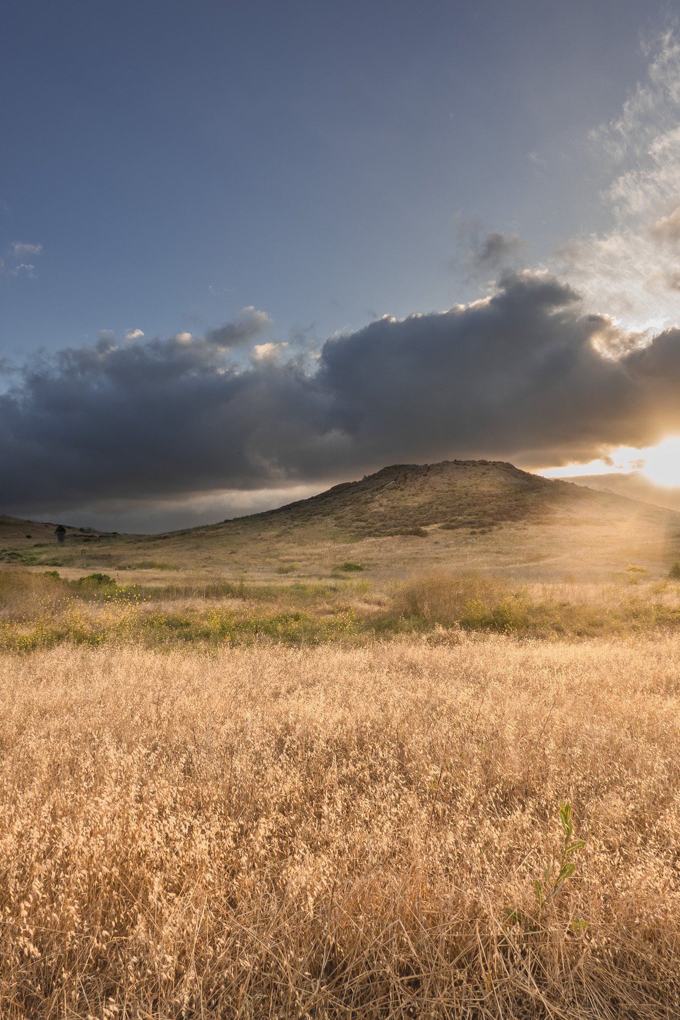 LANDSCAPES image DSC04688-HDR.jpg